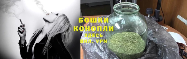 прущие грибы Армянск