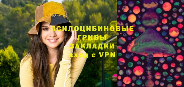 прущие грибы Армянск