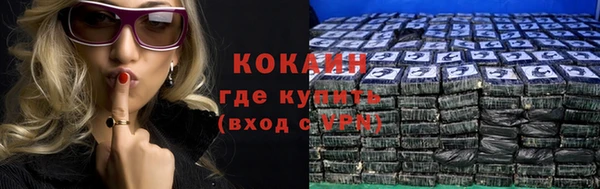 прущие грибы Армянск