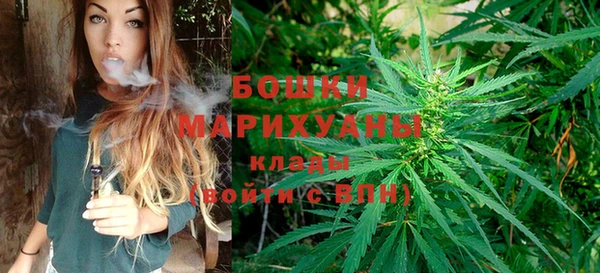 гидра Арсеньев